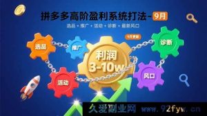 （15916期）9月拼多多高阶盈利秘诀：选品推广活动诊断全攻略，抓新风口月赚3-10w-就爱副业网