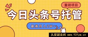 （15905期）【头条号代运营】我供素材你发文，日花5分钟，最高稳赚1W+-就爱副业网