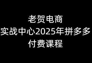 老贺电商实战中心2025年拼多多付费课程_-就爱副业网