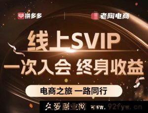 老陶电商拼多多线上SVIP25年9月4更新(价值1780元)_-就爱副业网