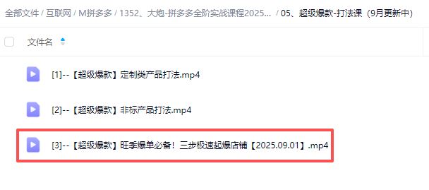 图片[5]-大炮电商-拼多多全阶实战课程2025年9月_-就爱副业网