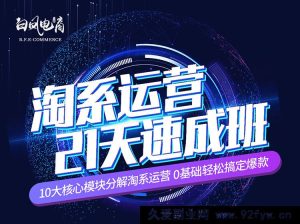 白凤电商-淘系运营21天速成班2025年8月更新(价值4999元)_-就爱副业网