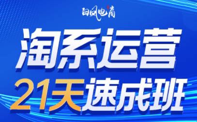 图片[5]-白凤电商-淘系运营21天速成班2025年8月更新(价值4999元)_-就爱副业网