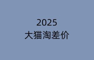 2025版大猫淘差价课程无货源电商2025年8月(价值3980元)_-就爱副业网