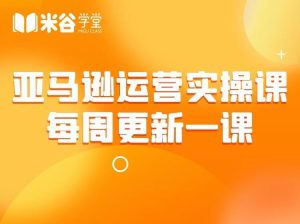 米谷学堂-亚马逊运营实操课2025年8月(价值2980元)_-就爱副业网