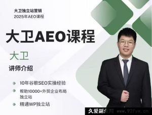 2025年大卫AEO课程_-就爱副业网