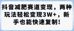 抖音减肥赛道变现，两种玩法轻松变现3W+，新手也能快速复制-就爱副业网