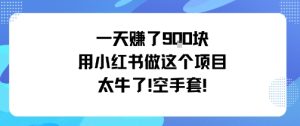 一天挣了9张用小红书做这个项目太牛了，空手套-就爱副业网