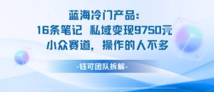 蓝海项目：16条笔记私域变现9750米小众赛道操作的人不多-就爱副业网