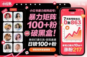 小红书暴力矩阵起号，教你打通引流-变现速通，日锁100+粉，破流量黑盒-就爱副业网