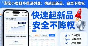 淘宝小类目补单系列课，快速起新品，安全不降权-就爱副业网