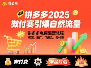 拼多多2025微付费引爆自然流量，拼多多电商运营教程，运营、推广、打爆品、微付费（更新）-就爱副业网