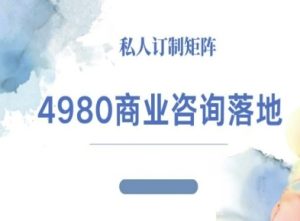 4980商业咨询师落地课程-ip运营高客单教程-就爱副业网