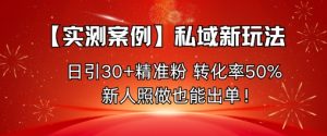 【实测案例】私域新玩法，日引30+精准粉，转化率50%，新人照做也能出单！-就爱副业网