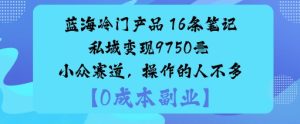 蓝海冷门产品：16条笔记私域变现9750米小众赛道，操作的人不多-就爱副业网