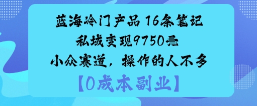 久爱副业网,网赚项目,网赚论坛博客网分享蓝海冷门产品：16条笔记私域变现9750米小众赛道，操作的人不多