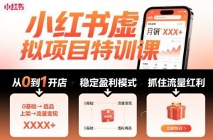 小红书虚拟项目特训课，帮你从0到1打造稳定盈利的店铺，抓住流量红利（更新9月）-就爱副业网