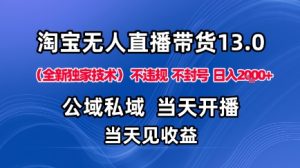 淘宝无人直播13.0，公域私域技术，不封号，不违规布局下半年旺季赛道，日入1K+（独家技术）【揭秘】-就爱副业网