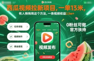西瓜视频拉新项目，一单13米，有人悄悄用这个方法，一条视频收益2.5w+（附详细教程）-就爱副业网