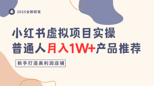 小红书虚拟项目实操指南，普通人月入1W+产品推荐，直接抄-就爱副业网