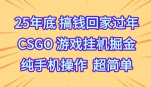 25年底搞钱回家过年,CSGO游戏挂G掘金,纯手机操作超简单【揭秘】-就爱副业网