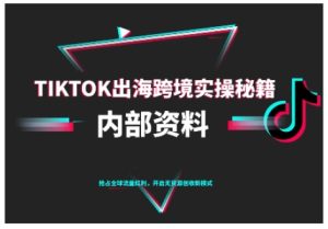 TikTok跨境电商0-1搭建运营，TK出海跨境实操秘籍（10月更新）-就爱副业网