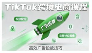 TikTok跨境电商全流程实操课，助力从业者掌握TikTok跨境电商运营核心技能，高效开展业务-就爱副业网