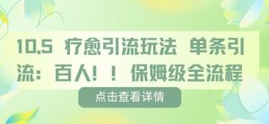 疗愈引流玩法，单条引流百人，保姆级全流程-就爱副业网