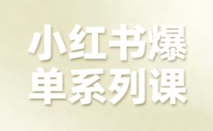 小红书爆单系列课，聚焦小红书电商全链路增长-就爱副业网