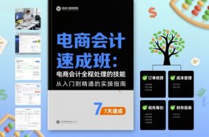 电商会计速成班，电商会计全程处理的技能-就爱副业网