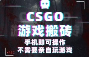 CSGO游戏挂G捡漏，单日扫货5张+，年底小高峰上车可吃肉，手机即可操作，兼职副业创业网创【揭秘】-就爱副业网