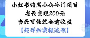 小红书暗黑小众冷门项目每天变现2张当天可能就会有收益-就爱副业网