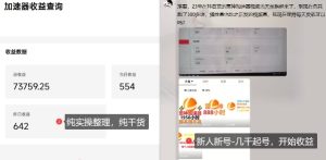 游戏加速器项目4.0_最新打法思路（爱玩游戏也能边玩边被动收益）-就爱副业网