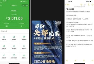 外面收费980全新男粉变现项目，竞争小，利润高，多种方式变现，独家技术-就爱副业网