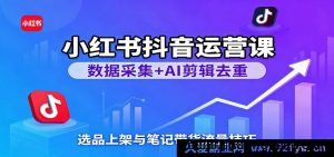 小红书抖音运营教程：从数据分析到AI剪辑视频，爆款选品秘籍与笔记带货涨粉变现-就爱副业网