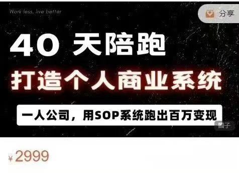 图片[2]-40天陪跑打造个人商业系2025年(价值2999元)_-就爱副业网