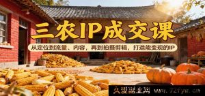 三农短视频账号变现教程：精准定位+爆款内容创作+流量获取技巧+拍摄剪辑方法，教你打造高转化赚钱IP-就爱副业网