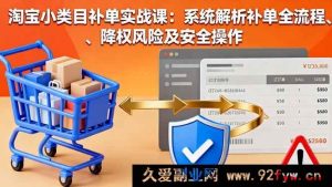 （16239期）淘宝小类目补单实操教程：全流程拆解、降权规避及安全玩法-就爱副业网