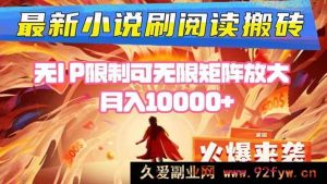 （16237期）小说阅读实操项目单设备操作日赚200到400元无需IP绑定可矩阵化批量放大-就爱副业网