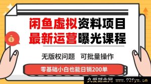 （16235期）2024闲鱼虚拟资料实操变现技巧，单账号多店运营零囤货，多渠道盈利内部实操方法-就爱副业网