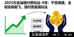 （16202期）2025万金油超实用付费玩法揭秘-9月：全是干货，实操带你强势起飞，付费玩法新突破-就爱副业网