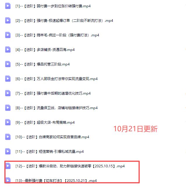 图片[5]-大炮电商-拼多多全阶实战课程2025年10月21日更新_-就爱副业网