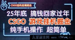 （16343期）25 年末轻松搞钱迎新年，CSGO 挂机掘金新招，手机纯享简易操作-就爱副业网