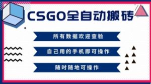 CSGO全自动搬砖，年底钱回家好项目，当天可拿到结果，新手小白轻松月入1W+【揭秘】-就爱副业网