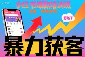 小红书爆款培训班，小红书获客野路子流量打法，暴力持续获客-就爱副业网