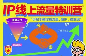 IP线上流量特训营，手把手教你搞流量、做IP、稳变现-就爱副业网