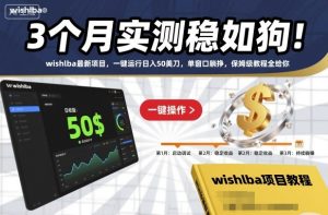 3个月实测稳如狗！wishlba最新项目，一键运行日入50美刀，单窗口躺挣，保姆级教程全给你【揭秘】-就爱副业网