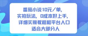 番茄小说10米每单，实拍玩法，0成本好上手，详细实操教程和平台入口适合大部分人-就爱副业网