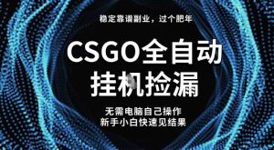 【稳定副业】全球最热门游戏CSGO全自动捡漏，最新玩法，新手小白日入5张+【揭秘】-就爱副业网
