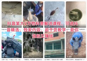 抖音某大V万物科普解说课程，可进抖音精选，独家内容，超干货教学，助你涨粉又賺钱-就爱副业网